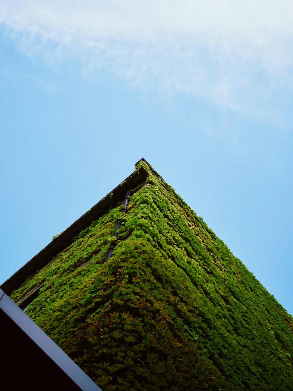 Green infrastructure